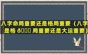 八字命局重要还是格局重要（八字是格 🐒 局重要还是大运重要）